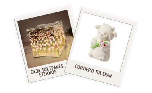 Pack: Peluche Cordero + Lámpara Decorativa de Tulipanes